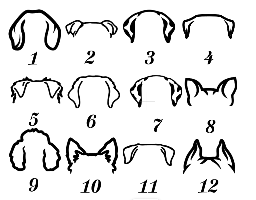 Dog Love Sign - Personalized